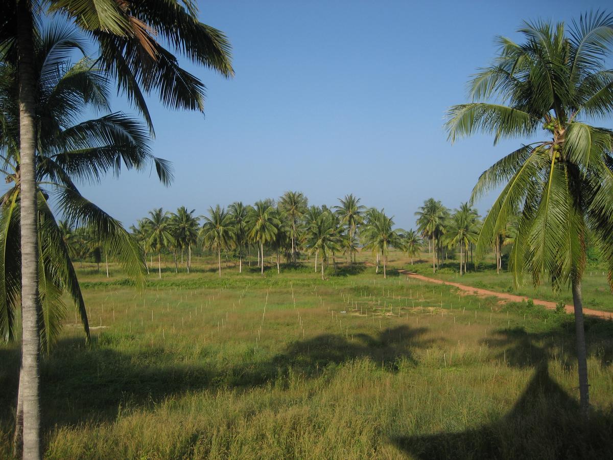 Lake View Bungalows Khao Lak Bagian luar foto